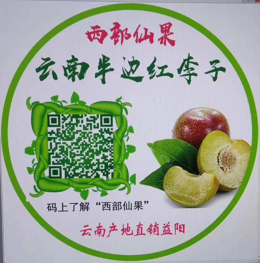 “互联网 ”助力传统农业创新，实现消费扶贫